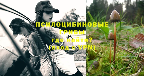 ALPHA-PVP Гусиноозёрск