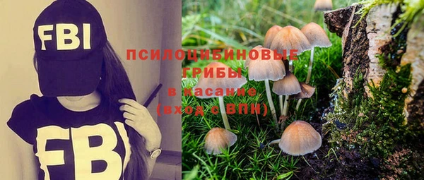 героин Гусь-Хрустальный