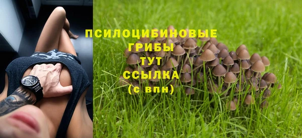 героин Гусь-Хрустальный