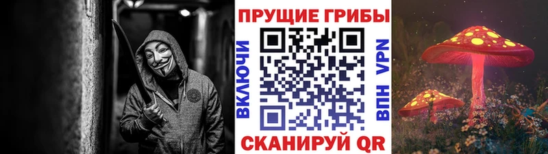 Купить закладки  Курск  Галлюциногенные грибы ЛСД 